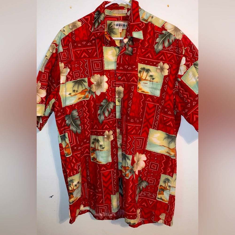 Mens Hawaiian t shirt
